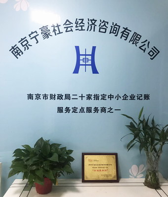 專業(yè)服務(wù)的助力者 南京寧豪社會經(jīng)濟(jì)咨詢的商業(yè)發(fā)展價(jià)值