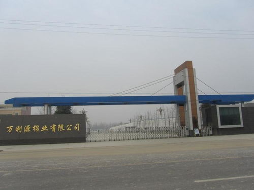 貴州萬(wàn)利源計(jì)算機(jī)系統(tǒng)集成 驅(qū)動(dòng)數(shù)字化轉(zhuǎn)型的專(zhuān)業(yè)力量